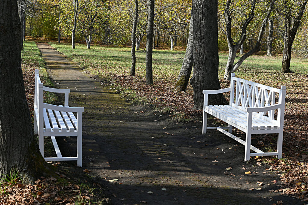 Poets’ Walk Park Pathway: A Serene Hudson Valley Escape - Hudson Valley Luxury Resorts White benches along a leaf-strewn path in Poets’ Walk Park, surrounded by tall trees in the Hudson Valley.