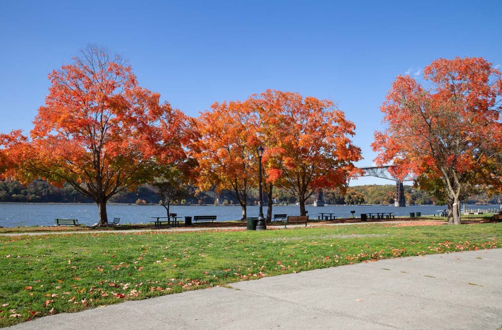 Vibrant Fall Foliage at Walkway Over the Hudson Riverside Park - Hudson Valley Luxury Resorts Bright orange autumn trees along the Hudson River, with benches and the Walkway Over the Hudson bridge in the background.