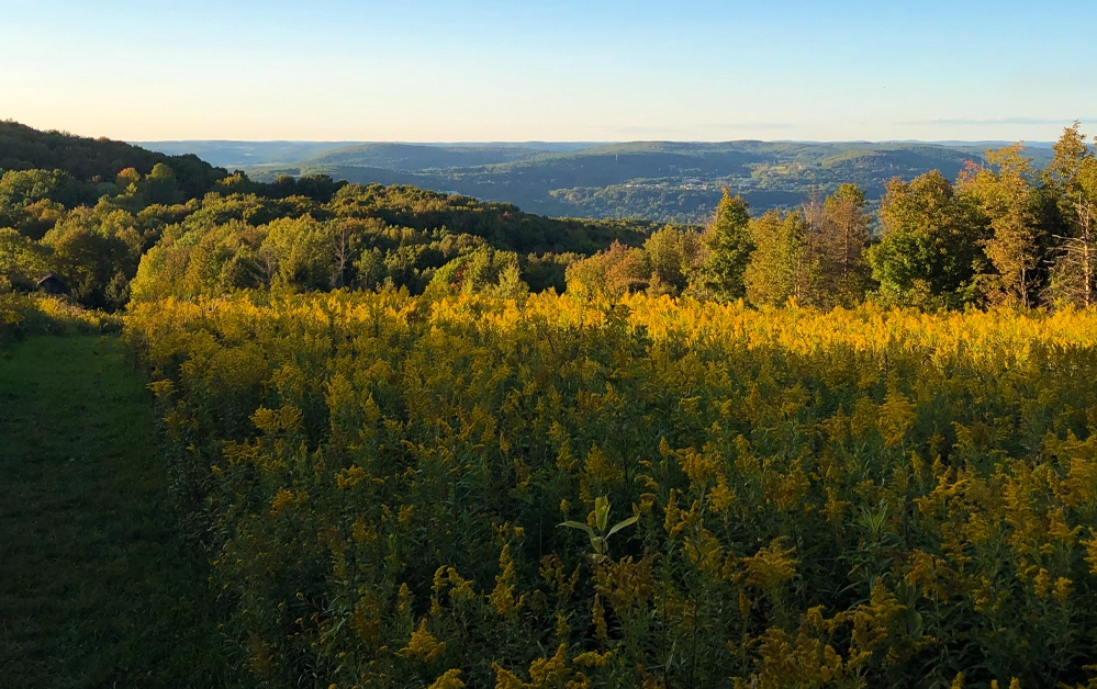 Scenic view of Hudson Valley Luxury Resorts with vibrant spring flowers and lush greenery under a bright blue sky.