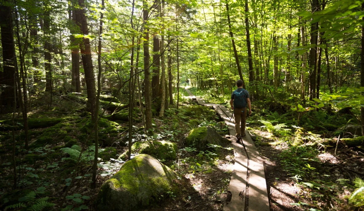 Visit the Hudson Valley and Hike the Historic Appalachian Trail